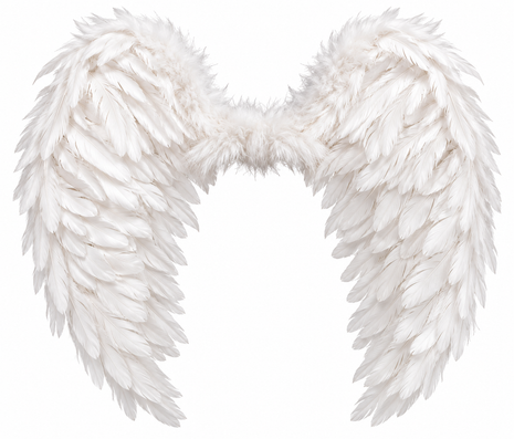 ALAS ÁNGEL WHITE PEQUEÑAS